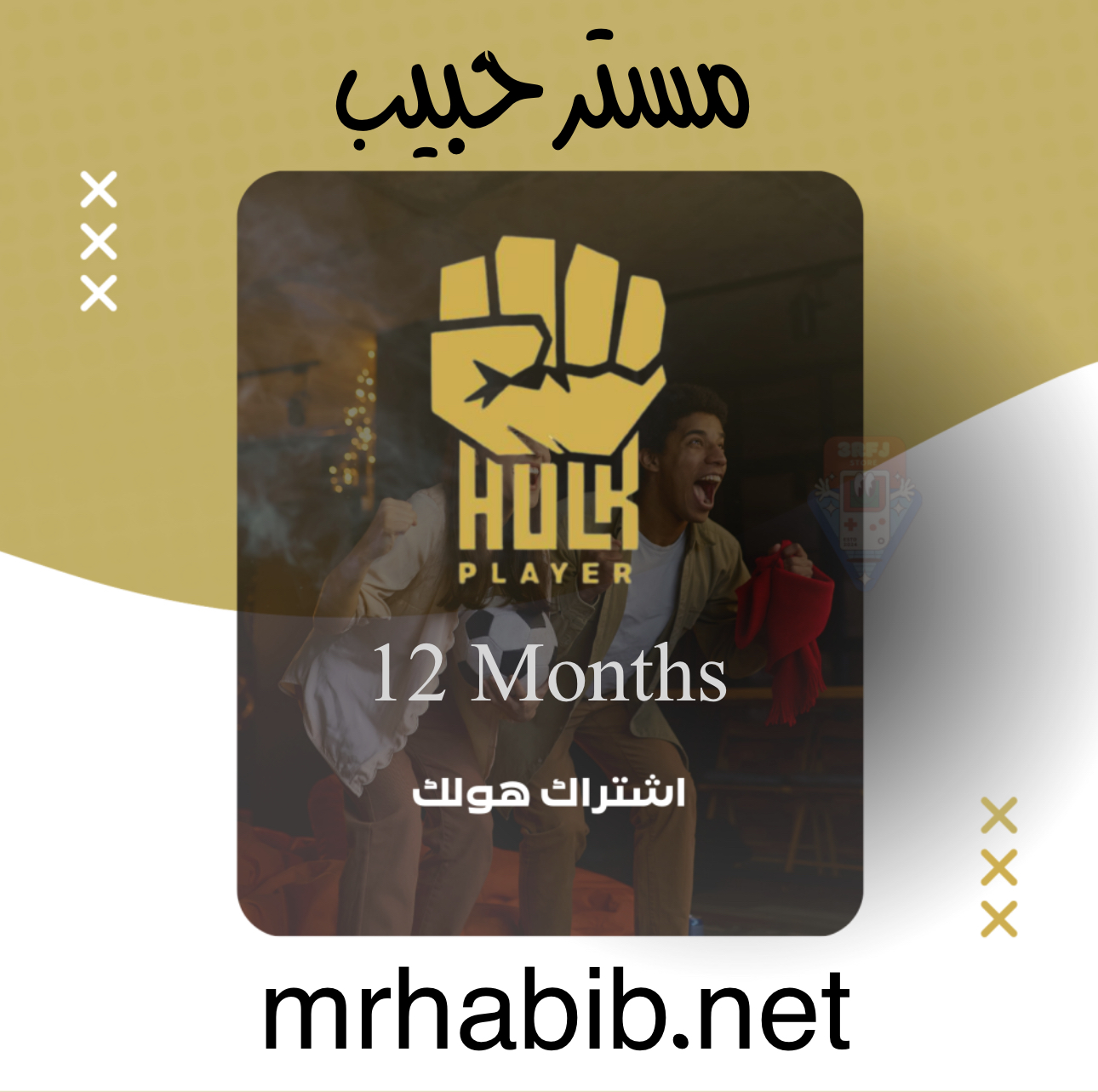 اشتراك هولك سنة 